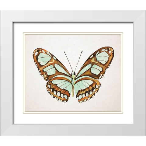 Mint Butterfly I White Modern Wood Framed Art Print with Double Matting by Warren, Annie