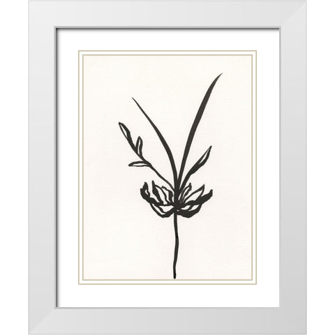 Ink Botanical Sketch I White Modern Wood Framed Art Print with Double Matting by Holland, J.
