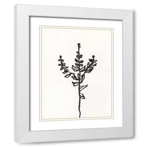 Ink Botanical Sketch II White Modern Wood Framed Art Print with Double Matting by Holland, J.
