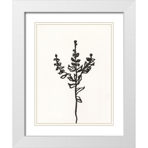 Ink Botanical Sketch II White Modern Wood Framed Art Print with Double Matting by Holland, J.