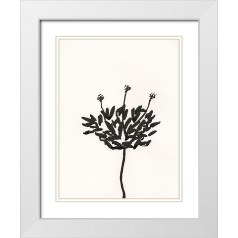 Ink Botanical Sketch III White Modern Wood Framed Art Print with Double Matting by Holland, J.
