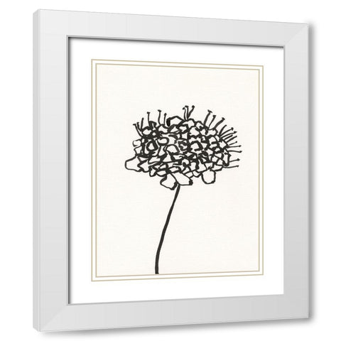 Ink Botanical Sketch V White Modern Wood Framed Art Print with Double Matting by Holland, J.