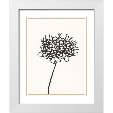 Ink Botanical Sketch V White Modern Wood Framed Art Print with Double Matting by Holland, J.