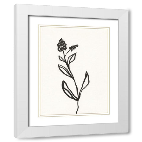 Ink Botanical Sketch VI White Modern Wood Framed Art Print with Double Matting by Holland, J.