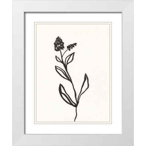 Ink Botanical Sketch VI White Modern Wood Framed Art Print with Double Matting by Holland, J.