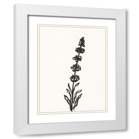 Ink Botanical Sketch VII White Modern Wood Framed Art Print with Double Matting by Holland, J.