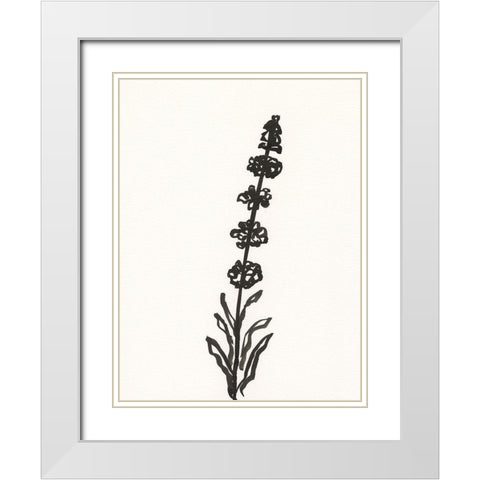 Ink Botanical Sketch VII White Modern Wood Framed Art Print with Double Matting by Holland, J.