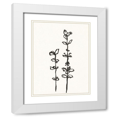 Ink Botanical Sketch VIII White Modern Wood Framed Art Print with Double Matting by Holland, J.