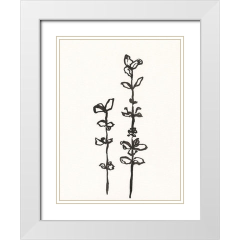 Ink Botanical Sketch VIII White Modern Wood Framed Art Print with Double Matting by Holland, J.