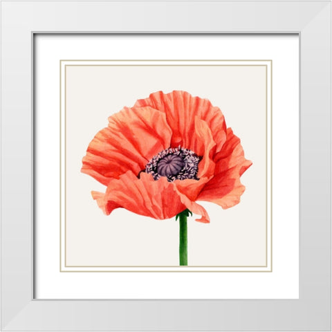 Magnified Poppy I White Modern Wood Framed Art Print with Double Matting by Popp, Grace