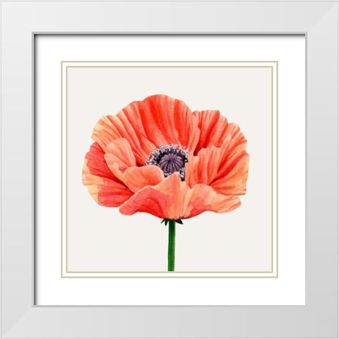 Magnified Poppy II White Modern Wood Framed Art Print with Double Matting by Popp, Grace