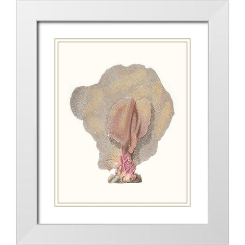 Terra Cotta Coral III White Modern Wood Framed Art Print with Double Matting by Unknown
