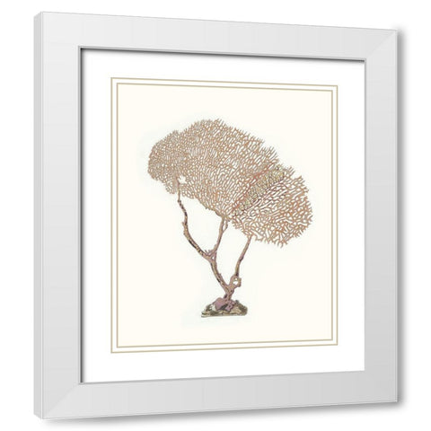 Terra Cotta Coral V White Modern Wood Framed Art Print with Double Matting by Unknown