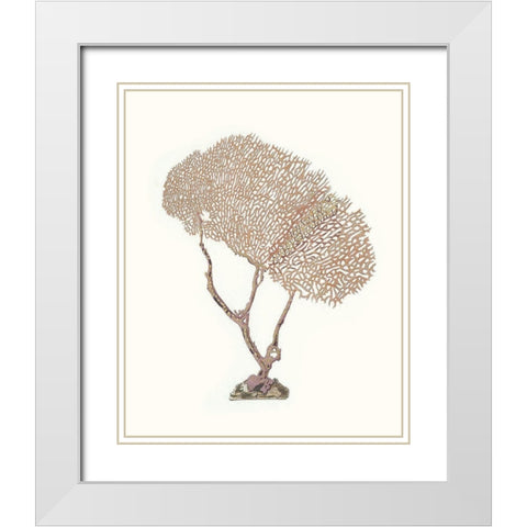 Terra Cotta Coral V White Modern Wood Framed Art Print with Double Matting by Unknown