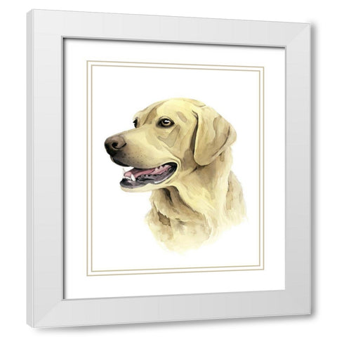 Sunny Boy II White Modern Wood Framed Art Print with Double Matting by Popp, Grace