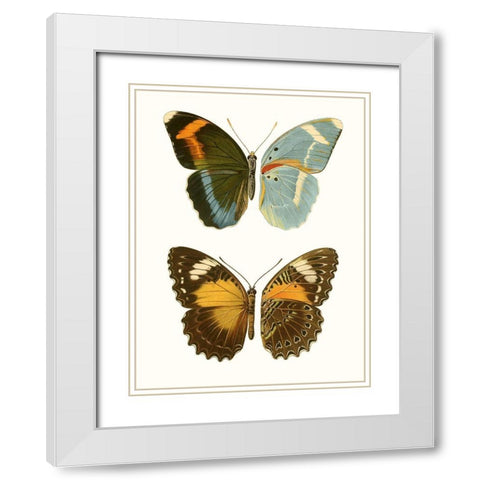 Antique Blue Butterflies III White Modern Wood Framed Art Print with Double Matting by Vision Studio