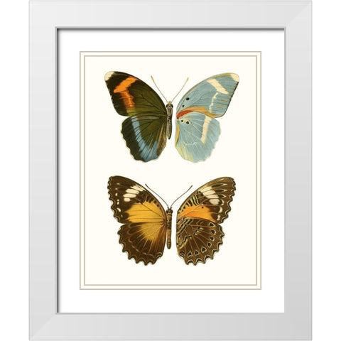 Antique Blue Butterflies III White Modern Wood Framed Art Print with Double Matting by Vision Studio