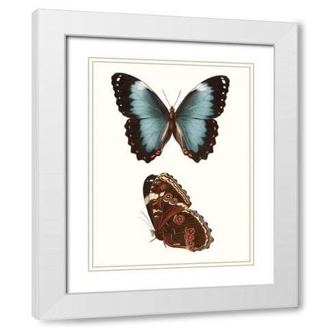 Antique Blue Butterflies IV White Modern Wood Framed Art Print with Double Matting by Vision Studio