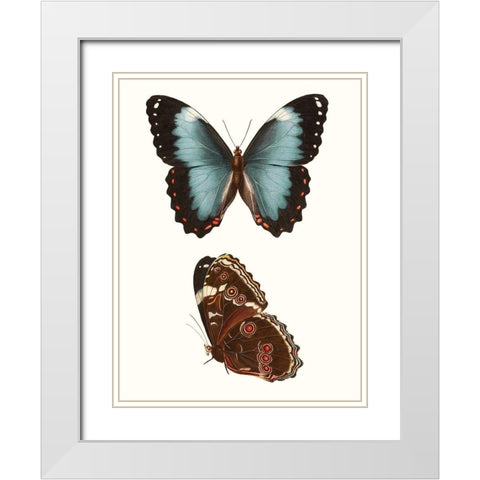 Antique Blue Butterflies IV White Modern Wood Framed Art Print with Double Matting by Vision Studio