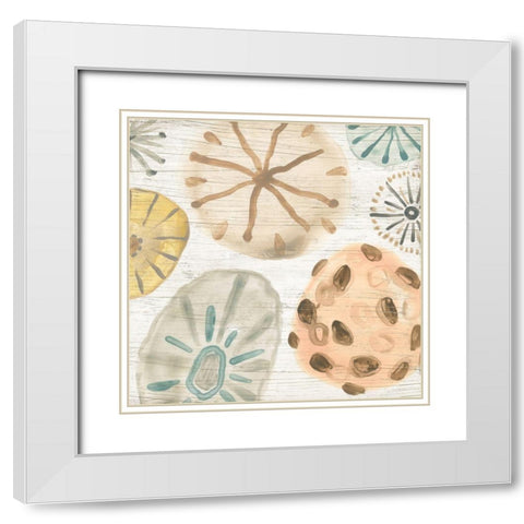 Ocean Urchins IV White Modern Wood Framed Art Print with Double Matting by Vess, June Erica