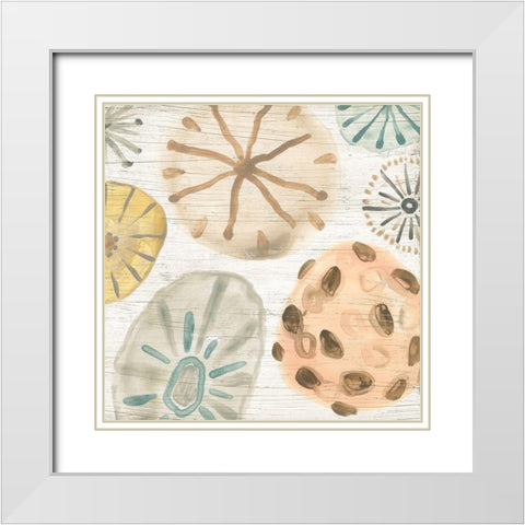 Ocean Urchins IV White Modern Wood Framed Art Print with Double Matting by Vess, June Erica