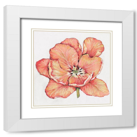 Spring Tulip Bloom I White Modern Wood Framed Art Print with Double Matting by OToole, Tim