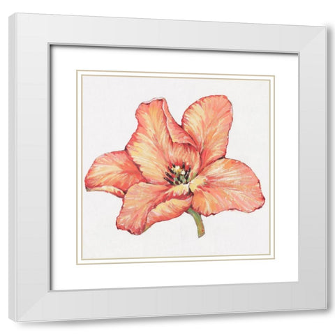 Spring Tulip Bloom II White Modern Wood Framed Art Print with Double Matting by OToole, Tim