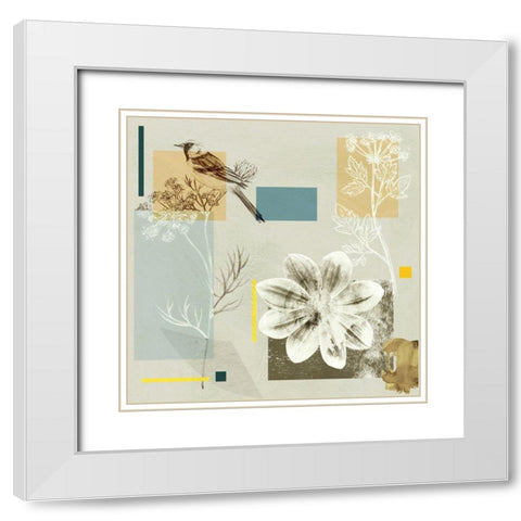 Bird Anatomy II White Modern Wood Framed Art Print with Double Matting by Wang, Melissa