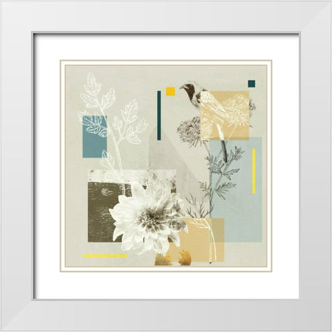 Bird Anatomy III White Modern Wood Framed Art Print with Double Matting by Wang, Melissa