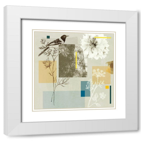 Bird Anatomy IV White Modern Wood Framed Art Print with Double Matting by Wang, Melissa