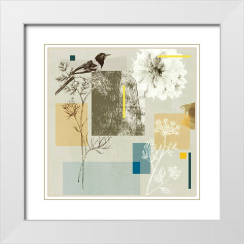 Bird Anatomy IV White Modern Wood Framed Art Print with Double Matting by Wang, Melissa