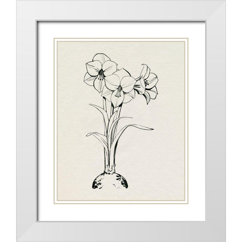 Christmas Amaryllis I White Modern Wood Framed Art Print with Double Matting by Popp, Grace