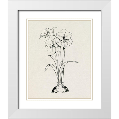 Christmas Amaryllis II White Modern Wood Framed Art Print with Double Matting by Popp, Grace