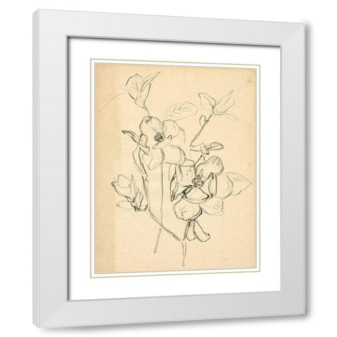 Contour Flower Sketch II White Modern Wood Framed Art Print with Double Matting by Parker, Jennifer Paxton