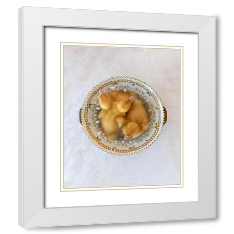 Floradanica with Ducklings White Modern Wood Framed Art Print with Double Matting by Soderman, Tania