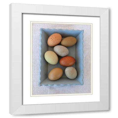 Rainbow Eggs in Blue Box White Modern Wood Framed Art Print with Double Matting by Soderman, Tania