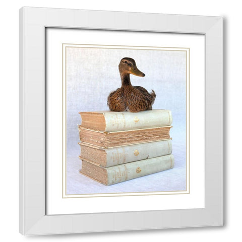 Tania Soderman Books I White Modern Wood Framed Art Print with Double Matting by Soderman, Tania