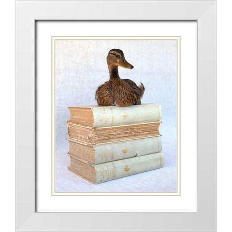 Tania Soderman Books I White Modern Wood Framed Art Print with Double Matting by Soderman, Tania