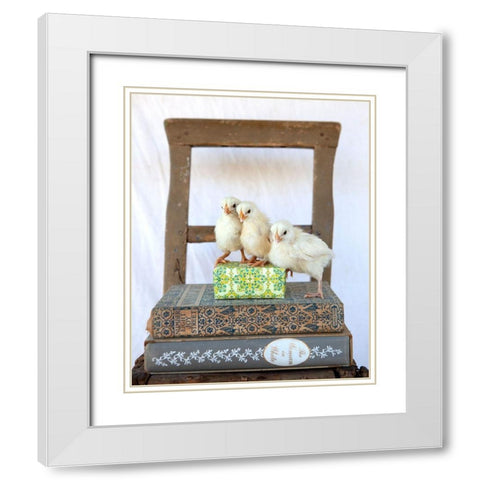Tania Soderman Books II White Modern Wood Framed Art Print with Double Matting by Soderman, Tania