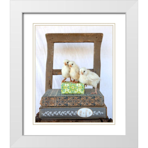 Tania Soderman Books II White Modern Wood Framed Art Print with Double Matting by Soderman, Tania