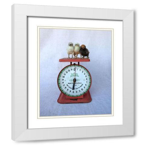 Chicks on Red Scale White Modern Wood Framed Art Print with Double Matting by Soderman, Tania