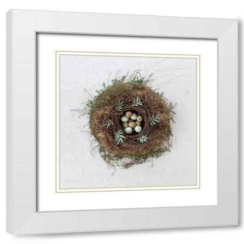 Winter Nest White Modern Wood Framed Art Print with Double Matting by Soderman, Tania