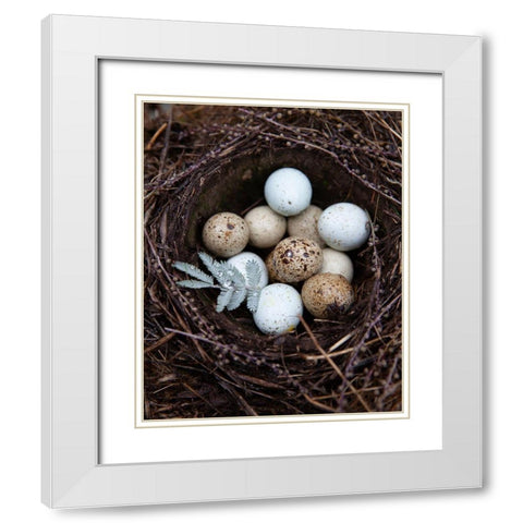 Winter Nest Detail I White Modern Wood Framed Art Print with Double Matting by Soderman, Tania