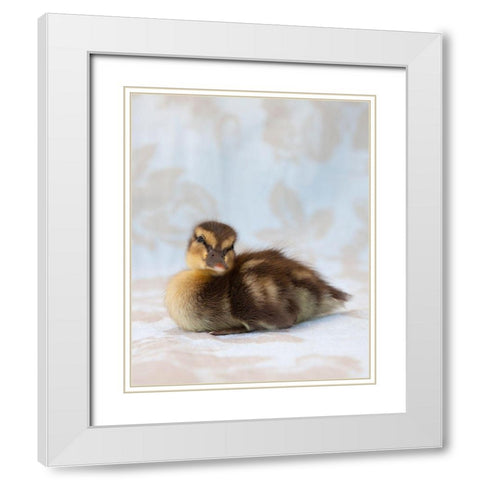 Peanut White Modern Wood Framed Art Print with Double Matting by Soderman, Tania