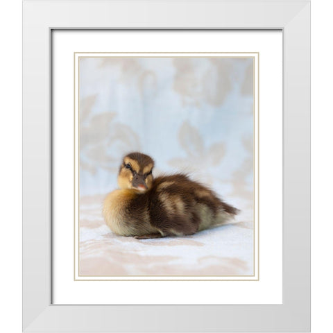 Peanut White Modern Wood Framed Art Print with Double Matting by Soderman, Tania