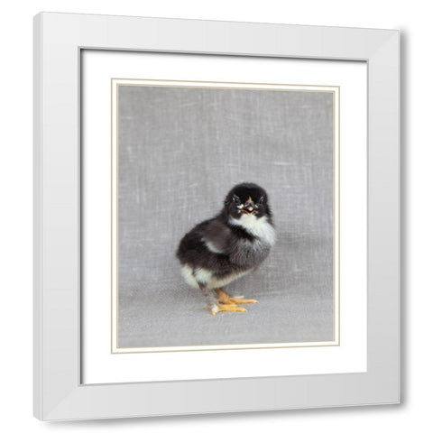 Sage White Modern Wood Framed Art Print with Double Matting by Soderman, Tania