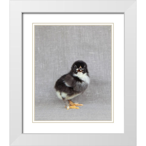 Sage White Modern Wood Framed Art Print with Double Matting by Soderman, Tania