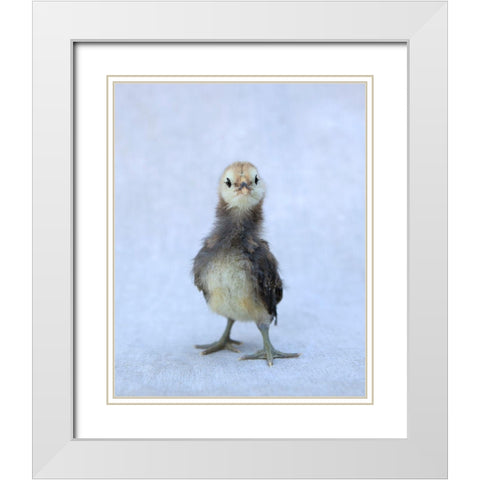 Viva White Modern Wood Framed Art Print with Double Matting by Soderman, Tania