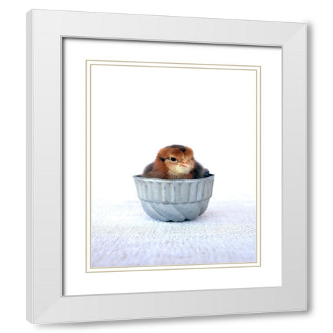 Tiny Baker II White Modern Wood Framed Art Print with Double Matting by Soderman, Tania