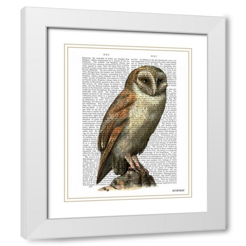Barn Owl White Modern Wood Framed Art Print with Double Matting by Fab Funky